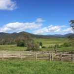 Pyengana Valley Tasmania. Photographed by Marie Jensen. Image via Shutterstock.