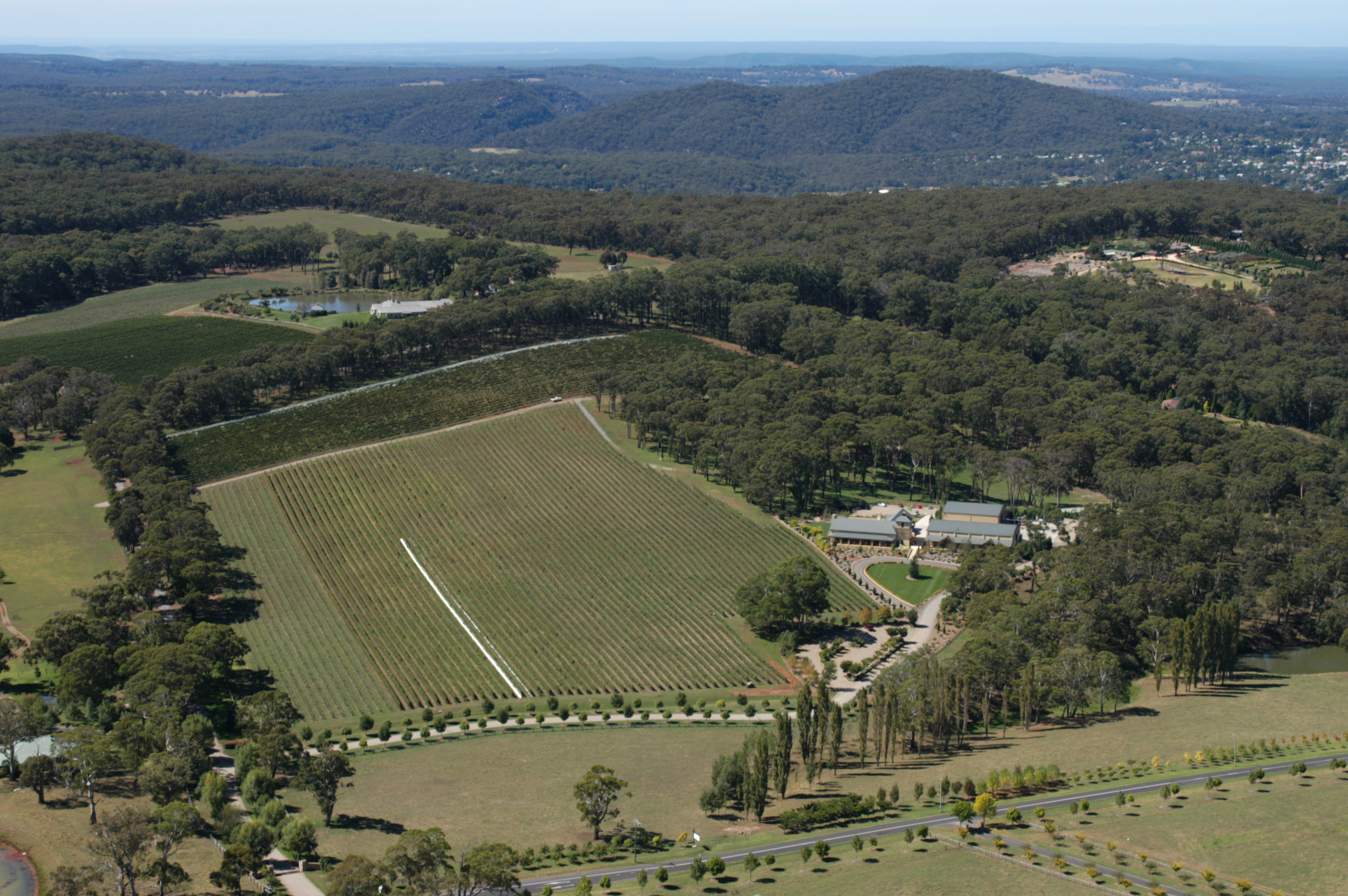 Centennial Vineyards with Mittagong in the background. Image supplied by Centennial Vineyards.