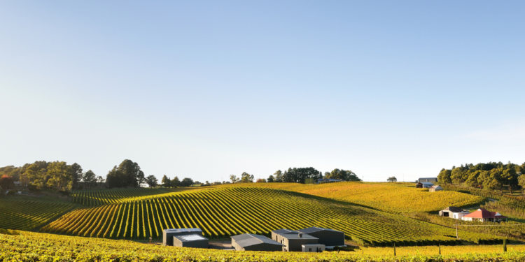 Day Itinerary 4 Best Wineries in Adelaide Hills, South Australia. Photographed by Jun Zhang. Image via Shutterstock.