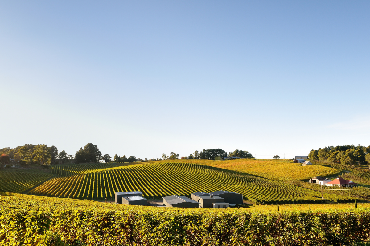 Day Itinerary 4 Best Wineries in Adelaide Hills, South Australia. Photographed by Jun Zhang. Image via Shutterstock.