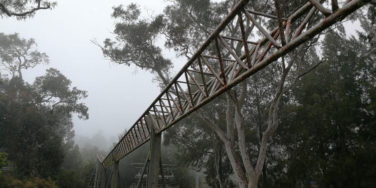 The Orphan Rocker track coursing through light fog