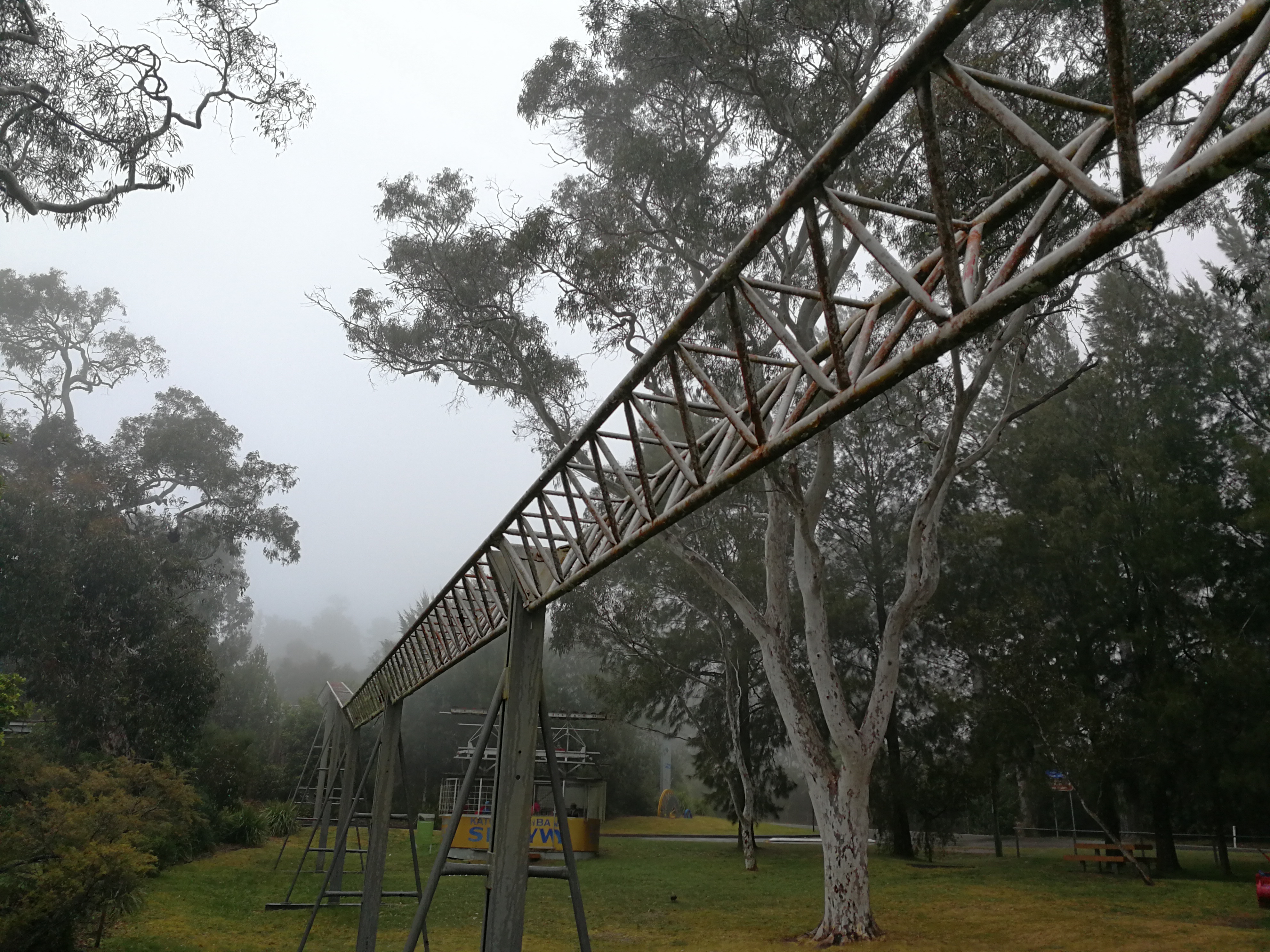 The Orphan Rocker track coursing through light fog