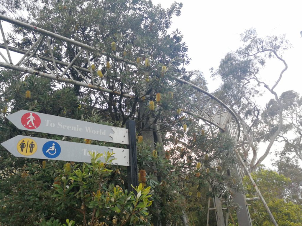 Scenic World sign in front of the Orphan Rocker track