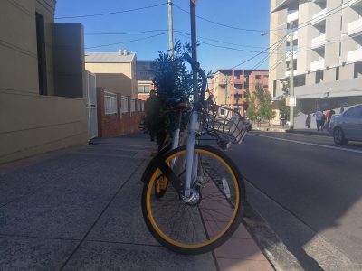 oBike parked in Marrickville. Image: Supplied