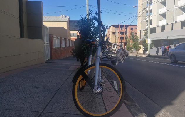 oBike parked in Marrickville. Image: Supplied