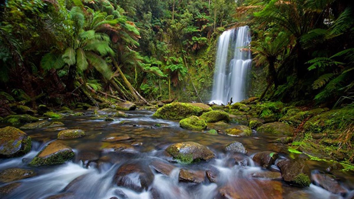 Beuchamp Falls, VIC
