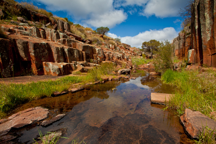 Gawler Ranges, SA