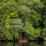 Pieman River, Tarkine Rainforest, Tasmania. Photographed by Jess Bonde. Image via Tourism Tasmania.