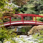 Royal Tasmanian Botanical Gardens, Hobart Tasmania. Photographed by Willowtreehouse. Image via Shutterstock