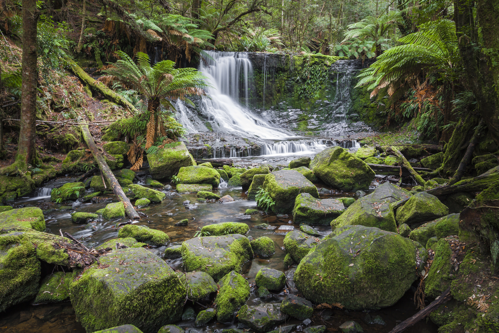 Russel Falls, TAS