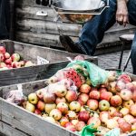 Salamanca Markets Hobart Tasmania. Photographed by Curioso.Photography. Image via Shutterstock