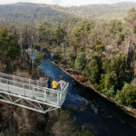 Tahune AirWalk, Geeveston, Tasmania. Image via Tourism Tasmania.