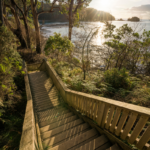 Tessellated Pavement State Reserve, Eaglehawk Neck, Tasmania. Photographed by Luke Tscharke. Image via Tourism Tasmania.