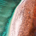 Ningaloo Marine Park, Exmouth, Western Australia. Photographed by Darkydoors. Image via Shutterstock