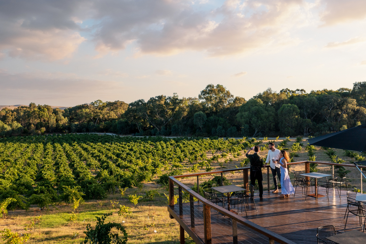 St Hugo, South Australia. Photographed by Adam Bruzone. Image via Tourism Australia.