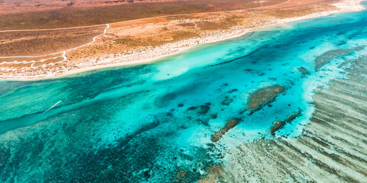 Ultimate Travel Guide Ningaloo Reef, Western Australia. Photographed by Violeta Brosig. Image via Shutterstock.
