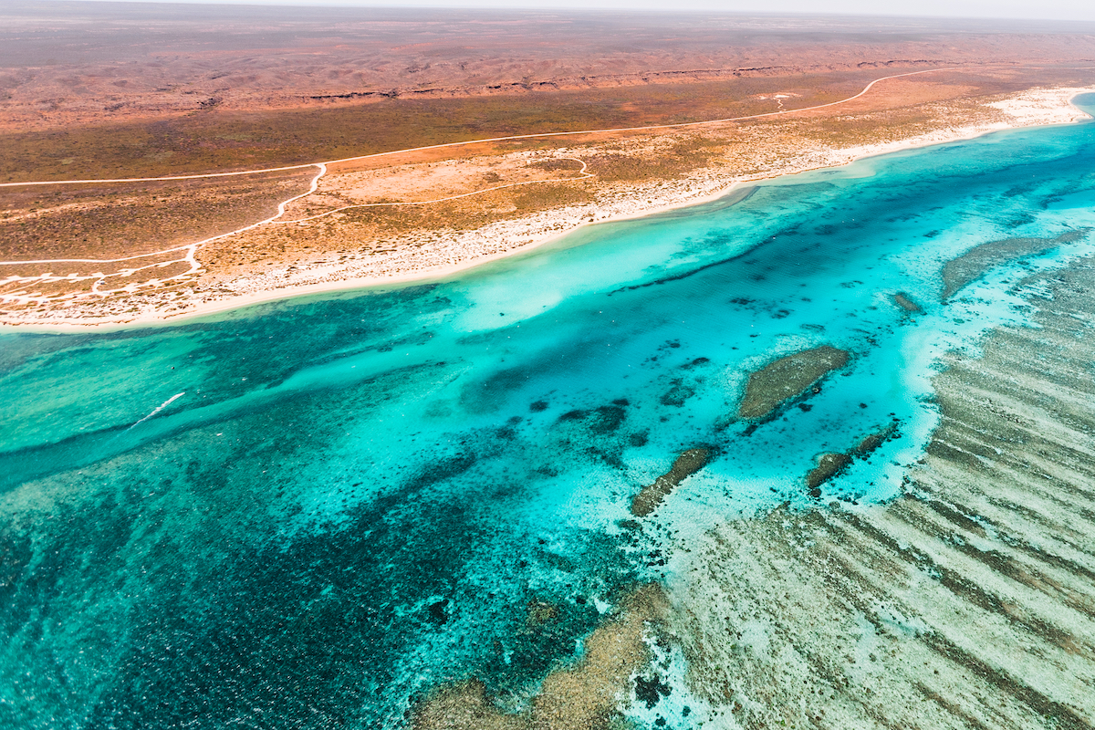 Ultimate Travel Guide Ningaloo Reef, Western Australia. Photographed by Violeta Brosig. Image via Shutterstock.