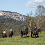 Blue Mountains Horse Riding. Photographed by James Horan. Image supplied via Destination NSW.