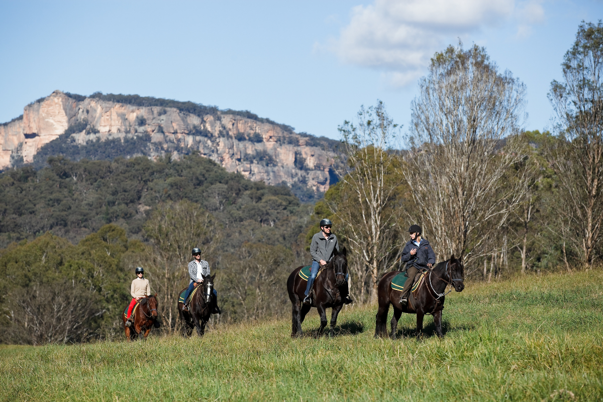 Blue Mountains Horse Riding. Photographed by James Horan. Image supplied via Destination NSW.