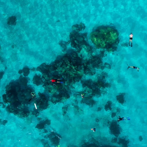 <strong>1. Explore One of Australia's Magical, Untouched Coral Reefs</strong>