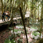 Scenic World Blue Mountains. Photographed by Anne Levitch. Image supplied via Destination NSW.