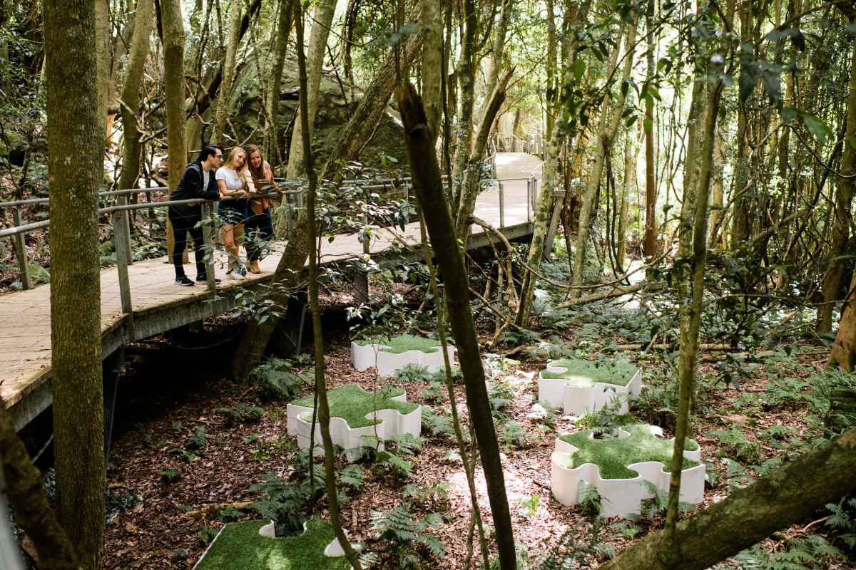 Scenic World Blue Mountains. Photographed by Anne Levitch. Image supplied via Destination NSW.
