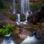 Wentworth Falls, Blue Mountains. Photographed by Daniel Tran. Image supplied via Destination NSW.