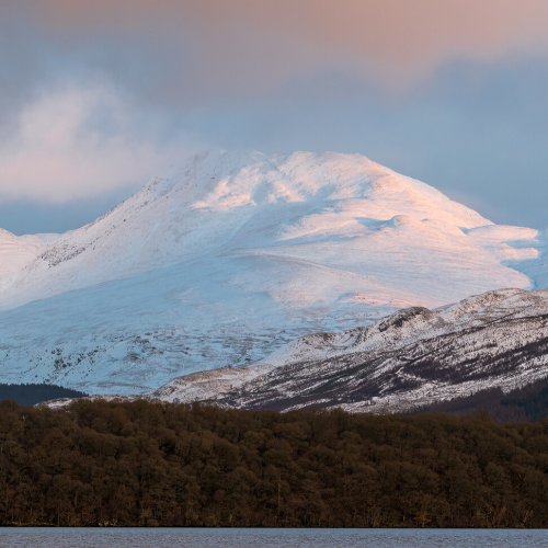 <strong>Ben Lomond</strong>