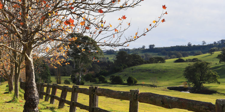 Autumnal landscape nature photography Southern Highlands NSW Australia. Image by Martha Almeyda via Shutterstock.