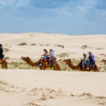 Line of camels walking though sand dunes with tourists at Birubi Beach, NSW. Image by Nigel Jarvis via Shutterstock.