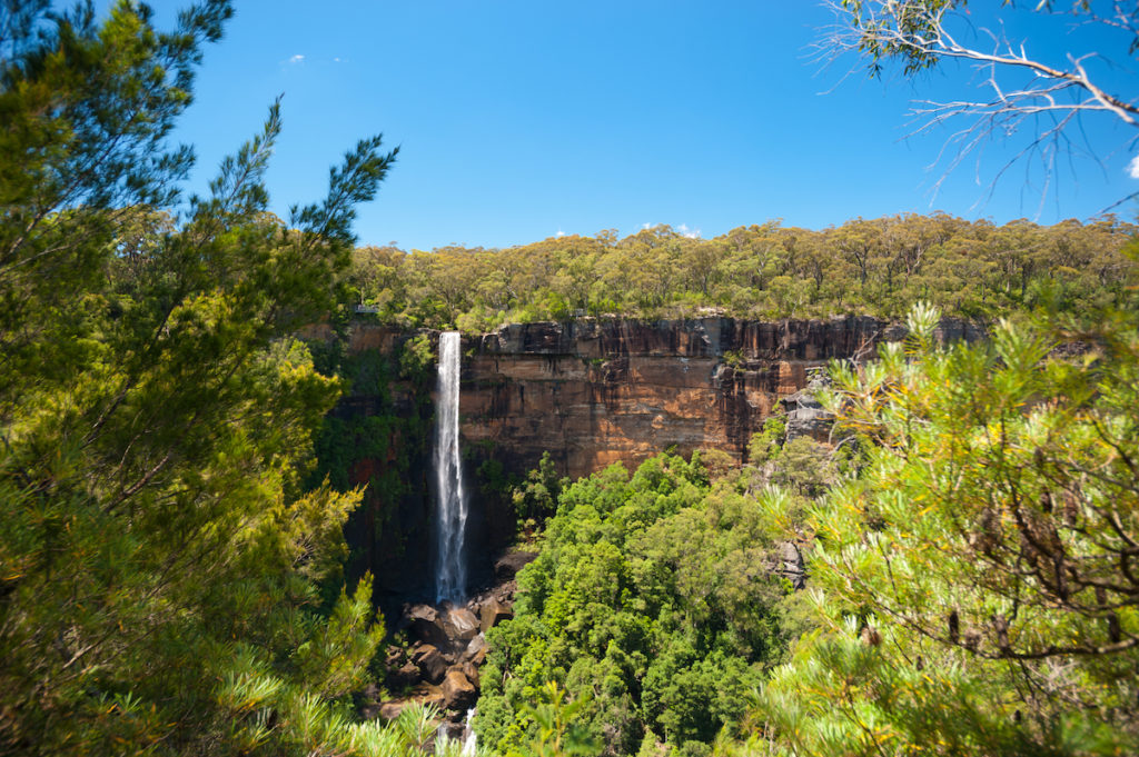 Fitzroy Falls, NSW. Image by Chris Howley via Shutterstock.