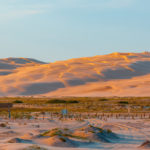 White sand dunes at sunset. Anna Bay, New South Wales. Image by Greg Brave via Shutterstock.