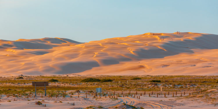 White sand dunes at sunset. Anna Bay, New South Wales. Image by Greg Brave via Shutterstock.