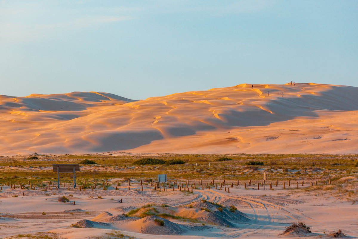 White sand dunes at sunset. Anna Bay, New South Wales. Image by Greg Brave via Shutterstock.