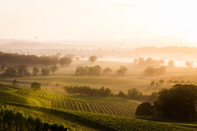 Hunter Valley New South Wales. Photographed by halans. Image via Shutterstock