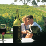 Cullen Wines, Margaret River. Image supplied via Tourism Western Australia.