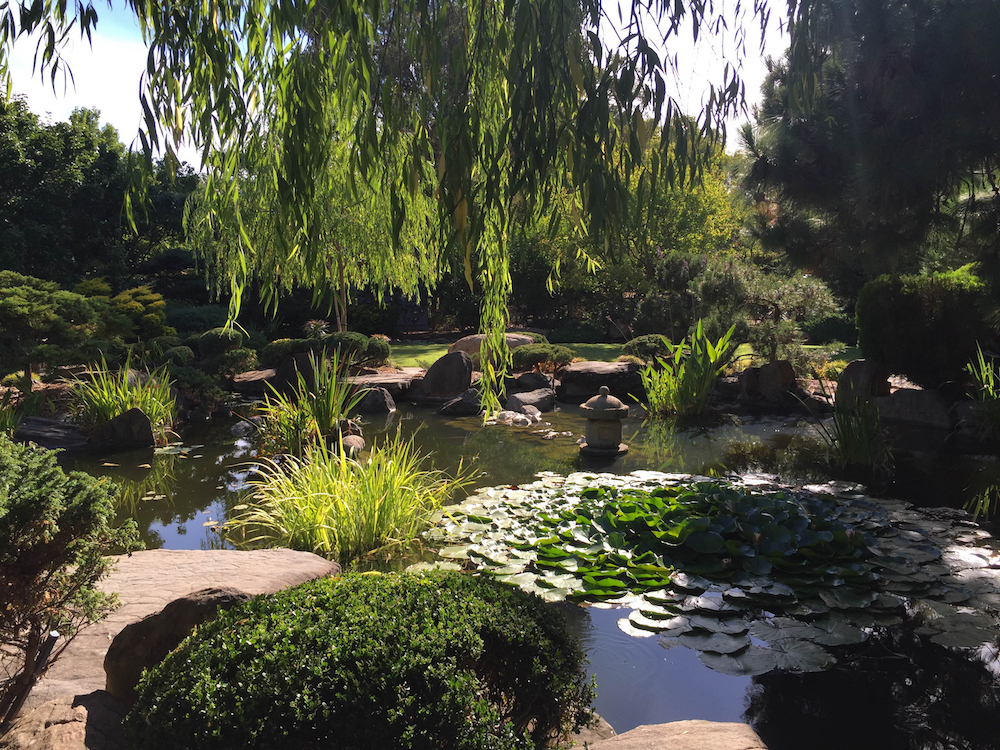 Himeji Garden Adelaide. Image by Chessirecat via Shutterstock.