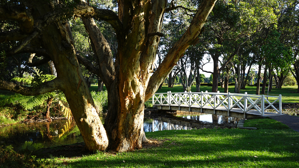 Lilypond Bridge in Centennial Park. Image by Catrin Haze via Shutterstock.