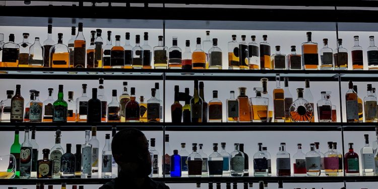 Bar in Hobart Tasmania. Image by Stevenot Emeric via Shutterstock.