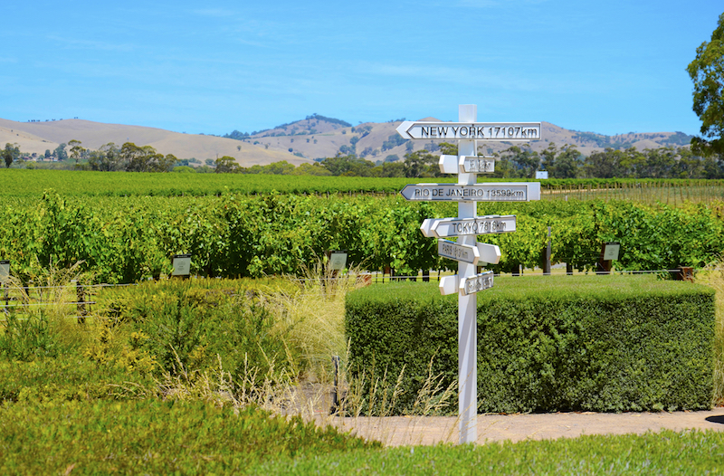 Jacobs Creek Winery. Image by Milleflore Images via Shutterstock.