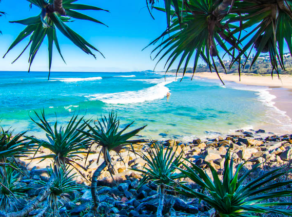 Noosa Main Beach