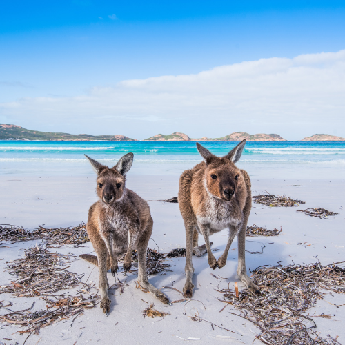 Kangaroo Island