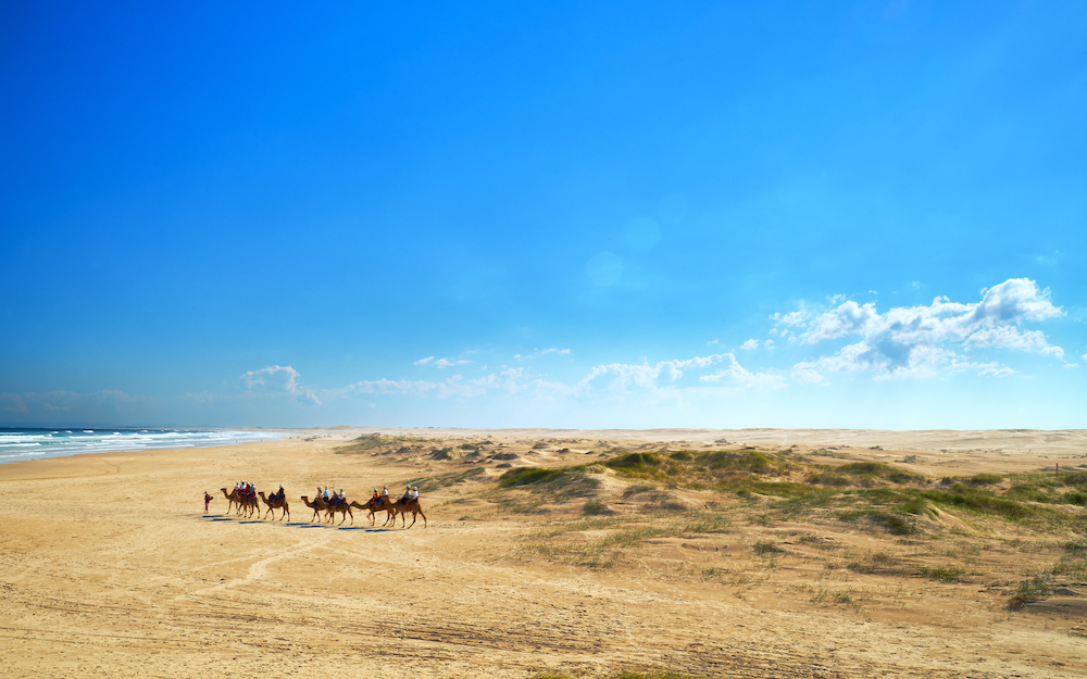 Camel Ride on Sandy beach, Port Stephens. Image by fotobycam via Shutterstock.
