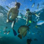 Snorkelling Hardy Reef, Great Barrier Reef. Supplied by Tourism and Events Queensland. Photographed by Brooke Miles for Riptide Creative.