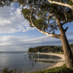 The Little Beach Boathouse, Nelson Bay. Photographed by Dallas Kilponen. Image supplied via Destination NSW.