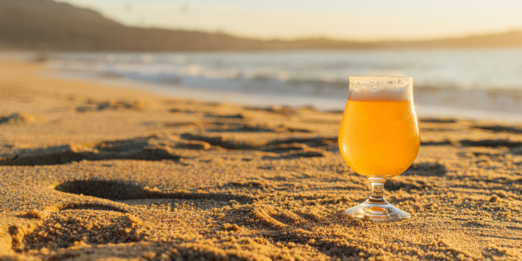 The Top 10 Craft Beer Breweries around Western Australia. Photographed by George Cox. Image via Unsplash.