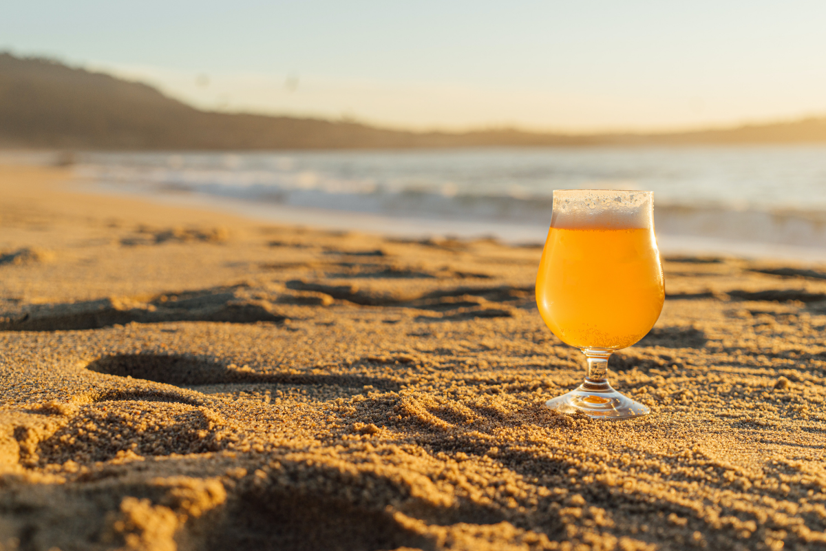 The Top 10 Craft Beer Breweries around Western Australia. Photographed by George Cox. Image via Unsplash.