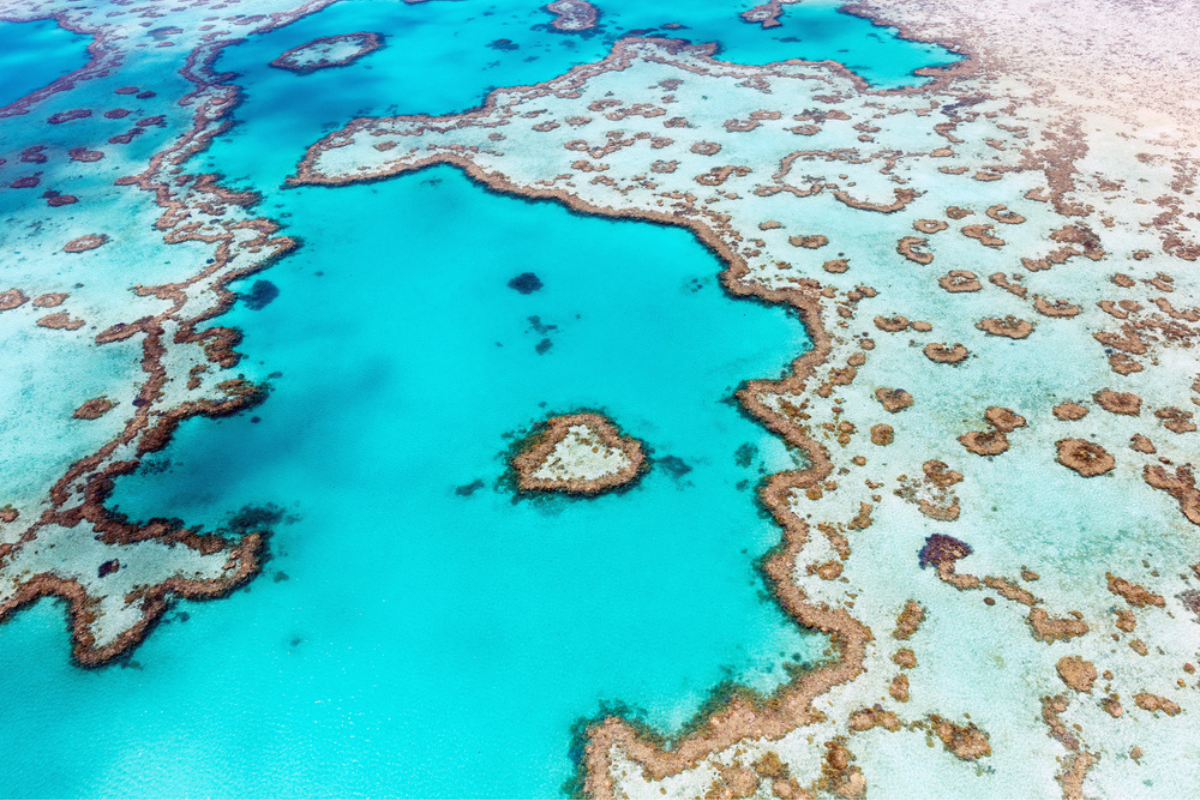 The Ultimate 2024 Travel Guide to The Whitsunday Islands. Whitsunday Islands, Queensland. Photographed by Tanya Puntti. Image via Shutterstock.