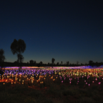 Field of Lights, Uluru, Northern Territory. Photographed by JETan. Image via Shutterstock.