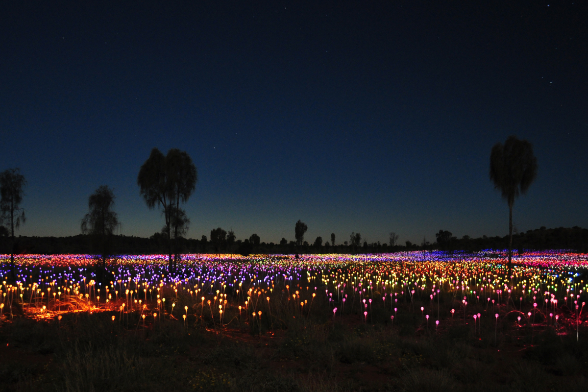 Field of Lights, Uluru, Northern Territory. Photographed by JETan. Image via Shutterstock.